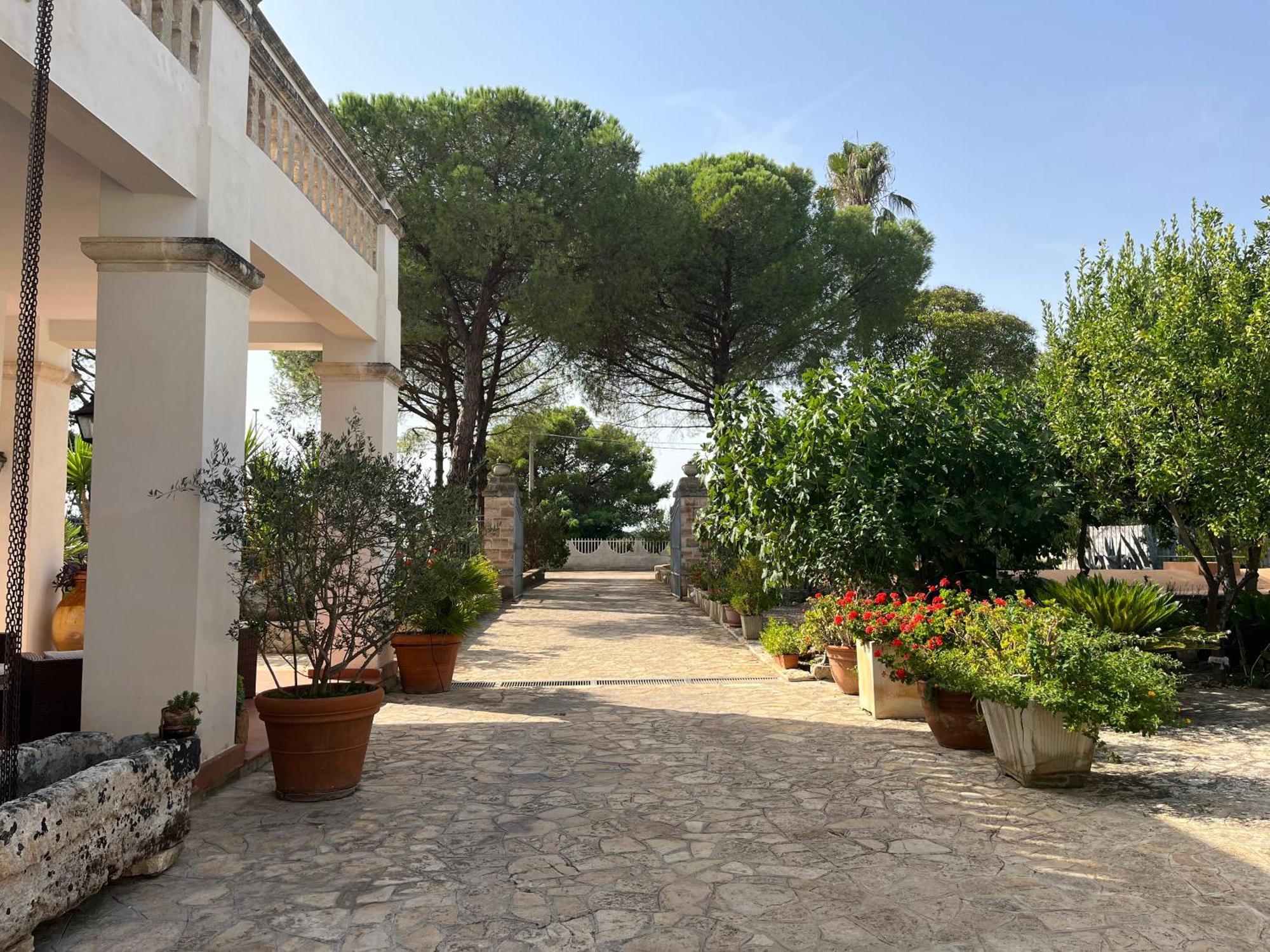 Masseria La Camardia Sava Zewnętrze zdjęcie