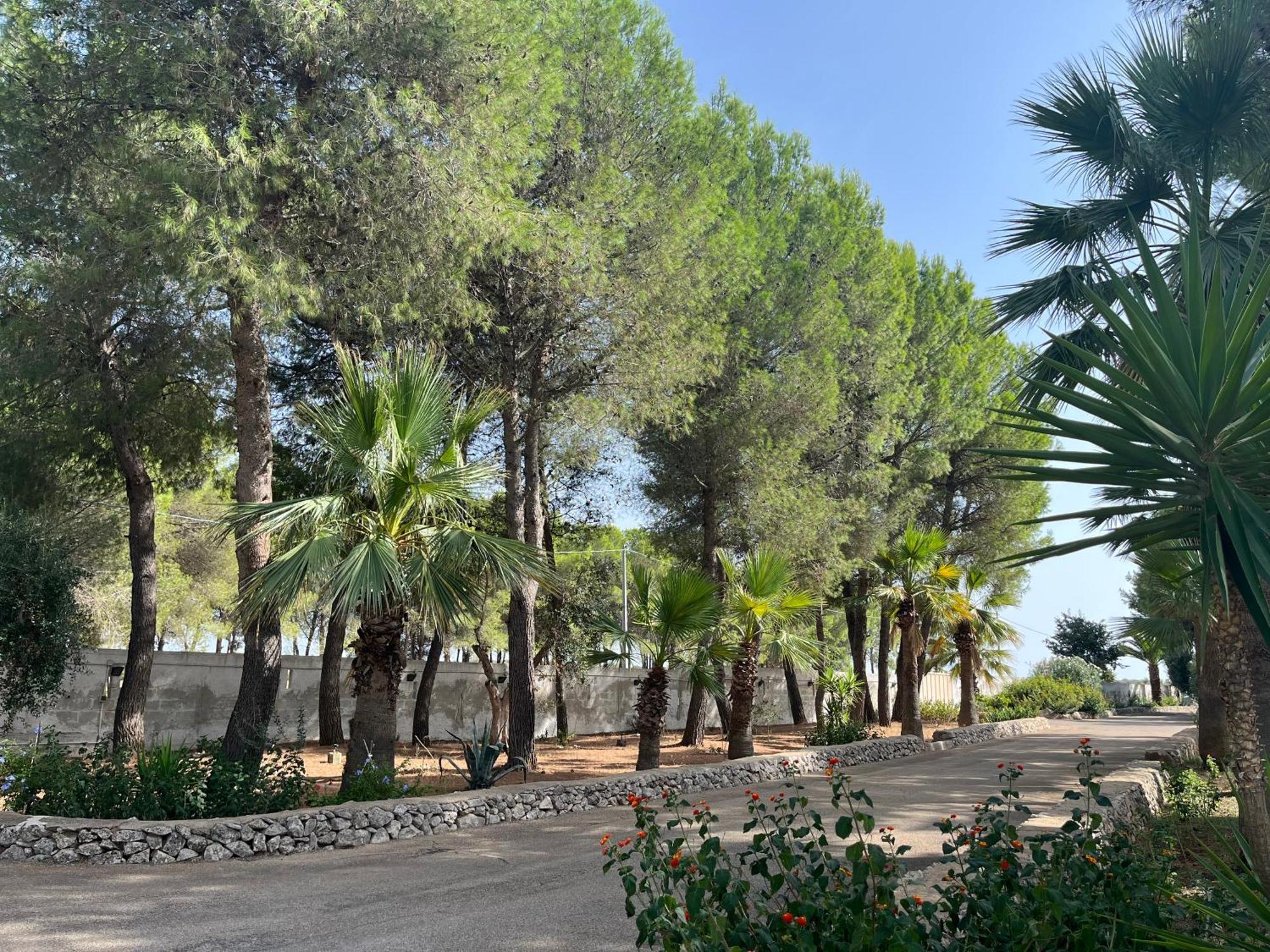 Masseria La Camardia Sava Zewnętrze zdjęcie