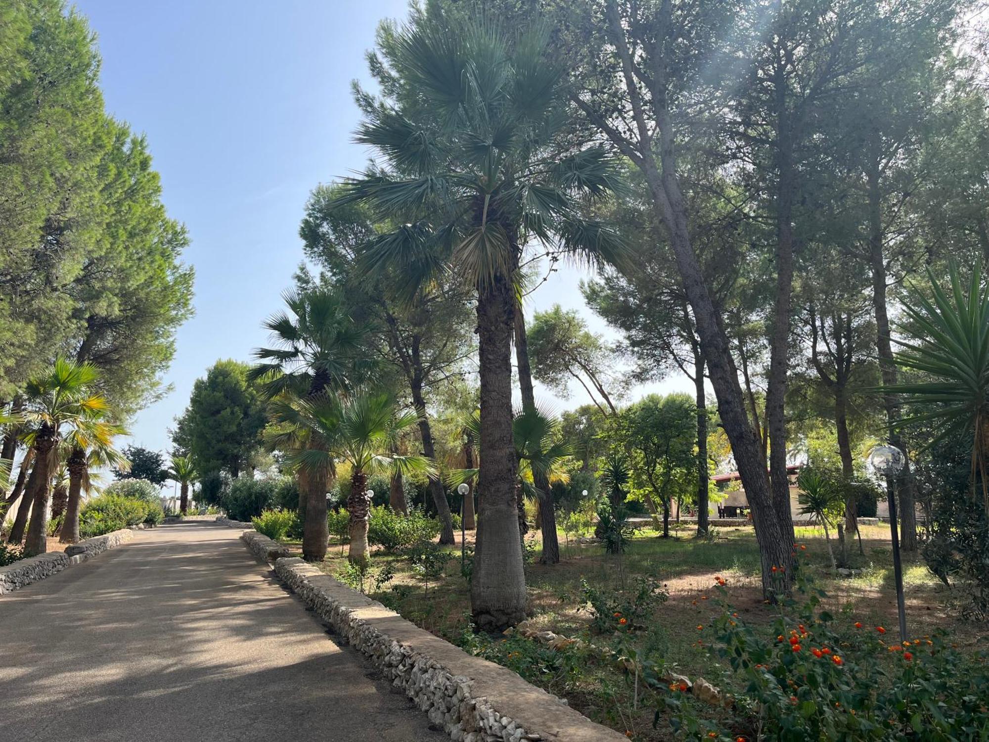 Masseria La Camardia Sava Zewnętrze zdjęcie