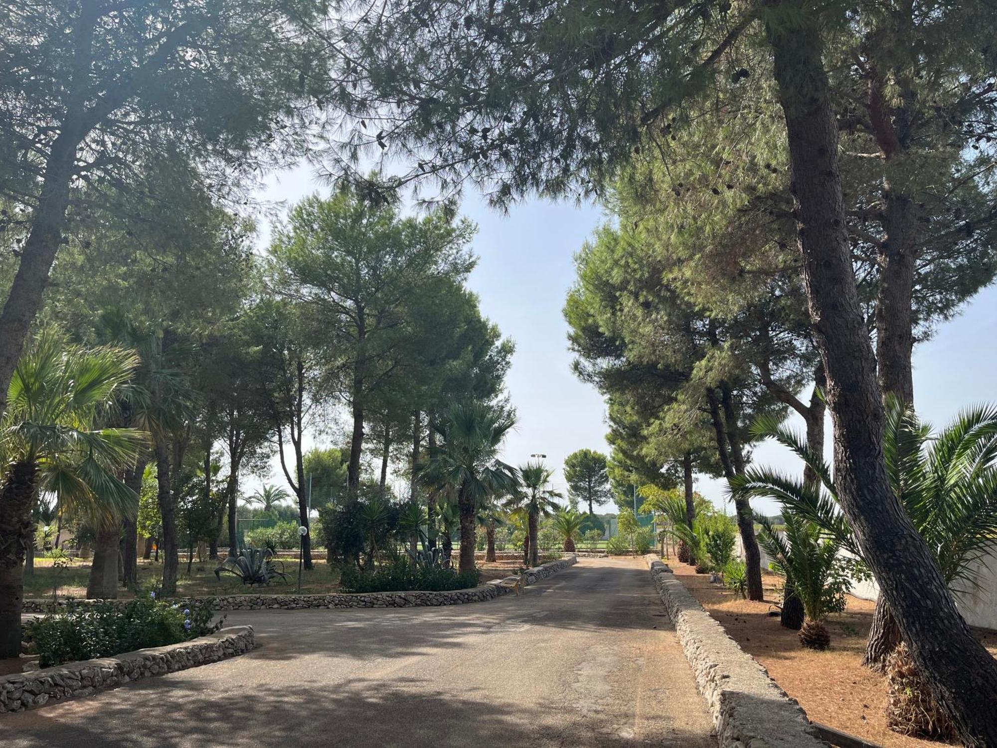 Masseria La Camardia Sava Zewnętrze zdjęcie