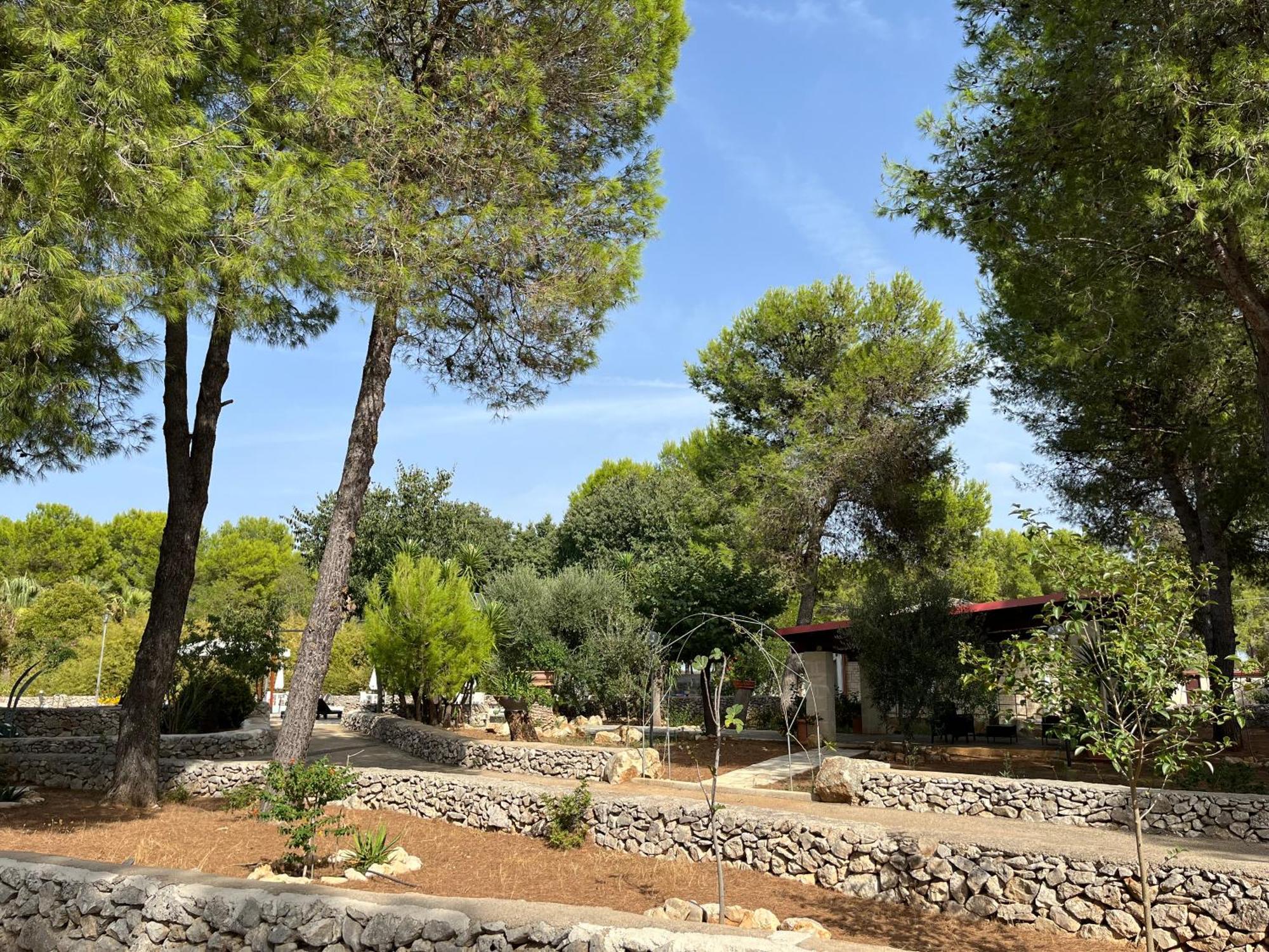 Masseria La Camardia Sava Zewnętrze zdjęcie