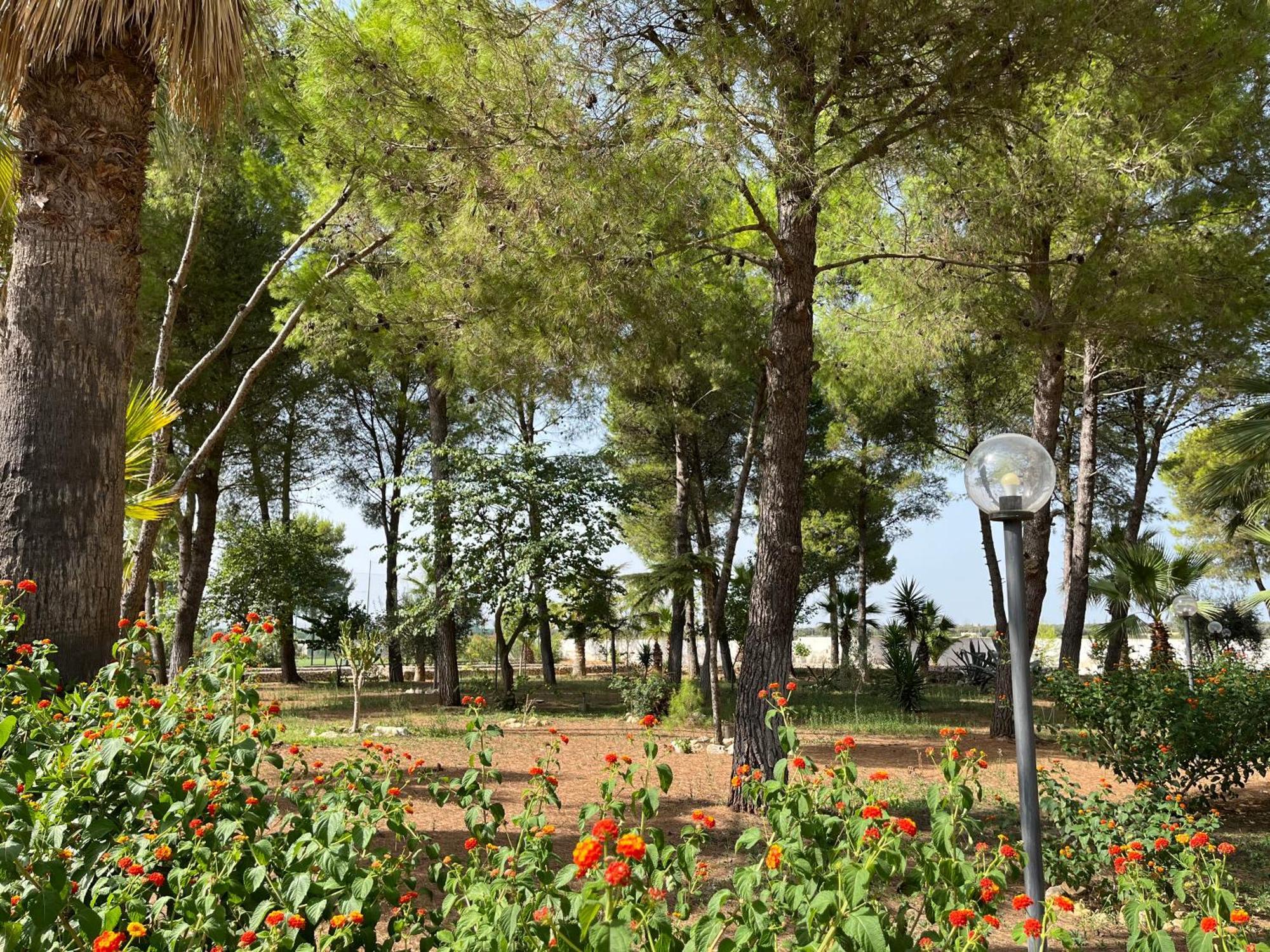 Masseria La Camardia Sava Zewnętrze zdjęcie